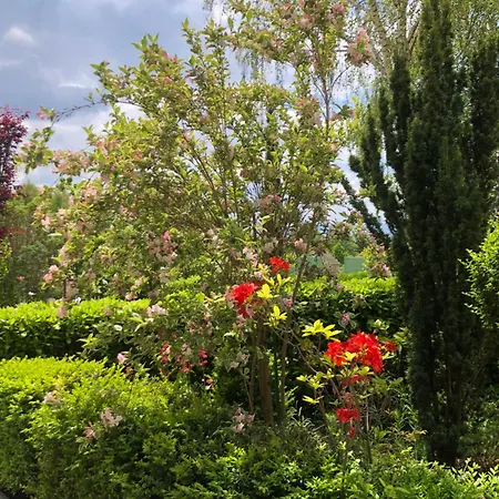 La Victoria Auvergne 3* Cournon-d'Auvergne