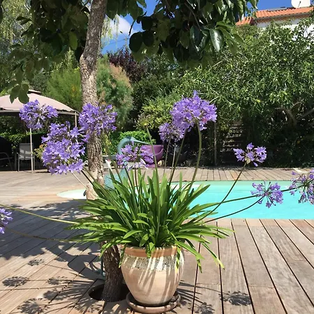 La Victoria Auvergne Bed & Breakfast *