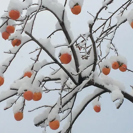 La Victoria Auvergne 3* Cournon-d'Auvergne