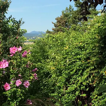 La Victoria Auvergne Bed & Breakfast Cournon-d'Auvergne