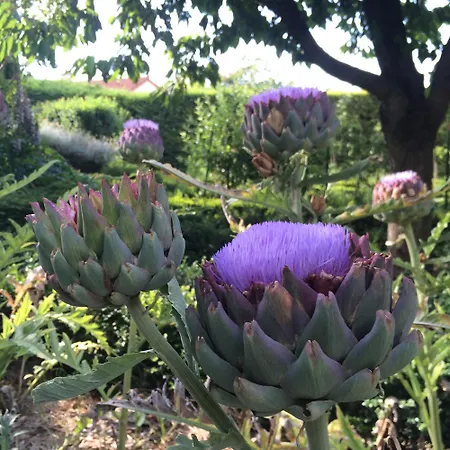 La Victoria Auvergne Bed & Breakfast Cournon-d'Auvergne