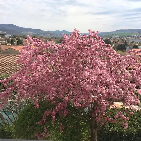 La Victoria Auvergne Cournon-d'Auvergne